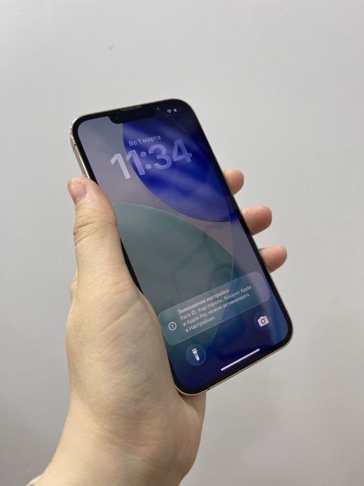 Iphone 13 pro 256 gb Pintel