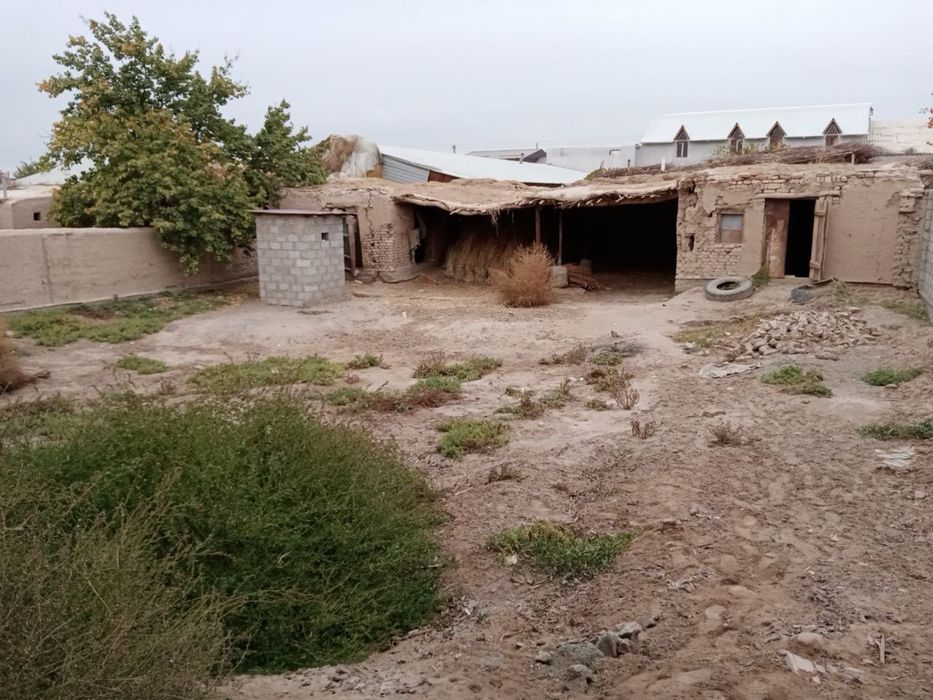 Чолишта Жой сотилади800кв . Продается дом в Чалыше 800кв