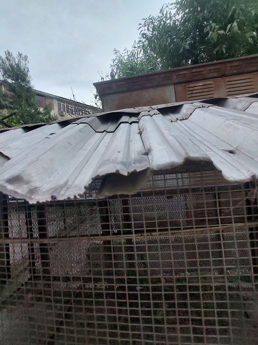 Tovuq katak sotiladi 10-15 ta tovuq uchun