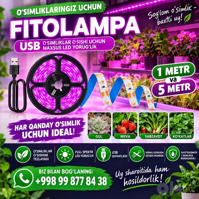 Fitolampa/fitolenta