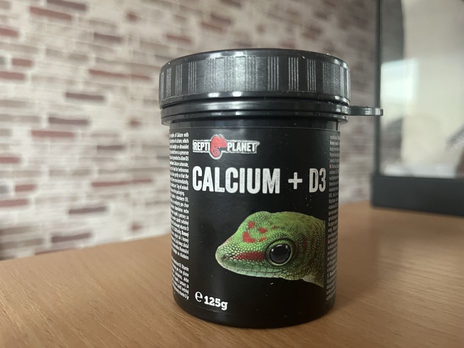 Leopard Gecko mascul 6–8 luni + terariu complet – ridicare personală