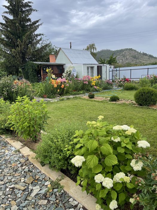 Продается  шикарная дача в Новой Бухтарме