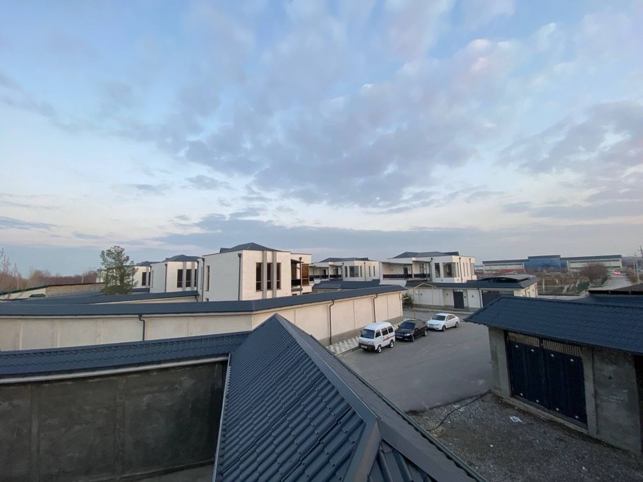 Tanxaus motrid krugda