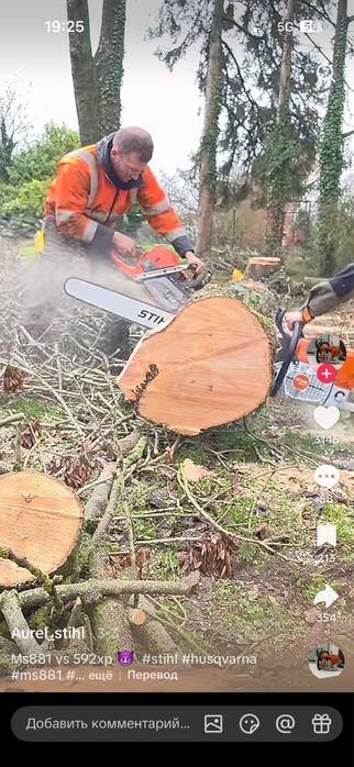 пилим дерева быстро не дорога