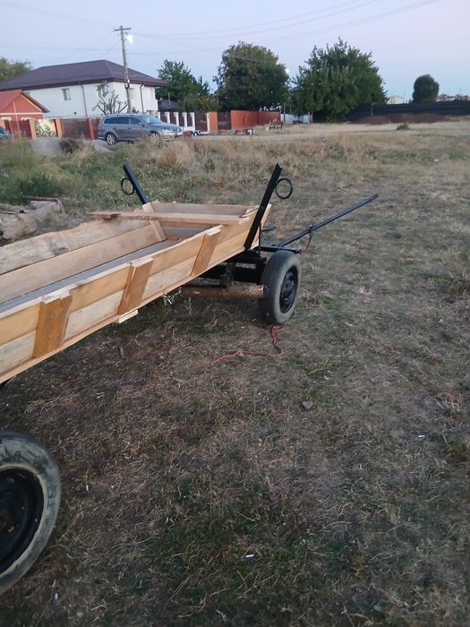 Schimb cu animale ,oi