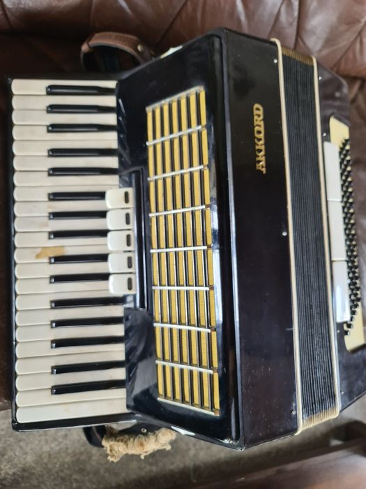 Acordeon marca akkord
