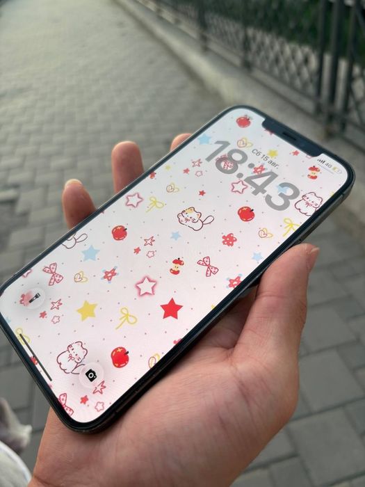 iPhone 12 pro max