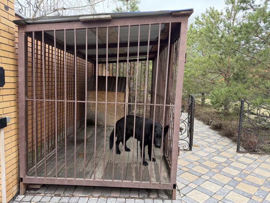 Вольер для собак