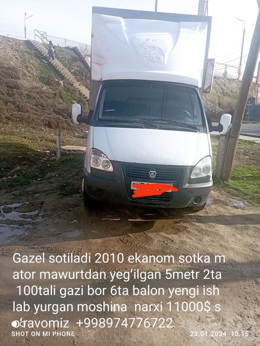 Gazel  sotiladi gurzavoy