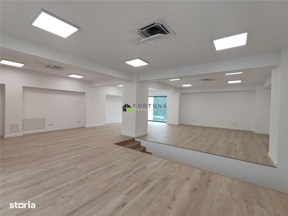 Spatiu comercial Centrul Civic