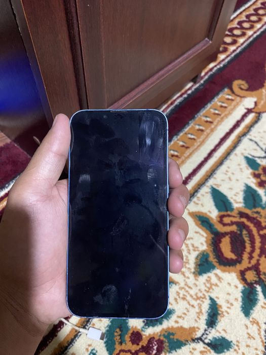 iPhone          13