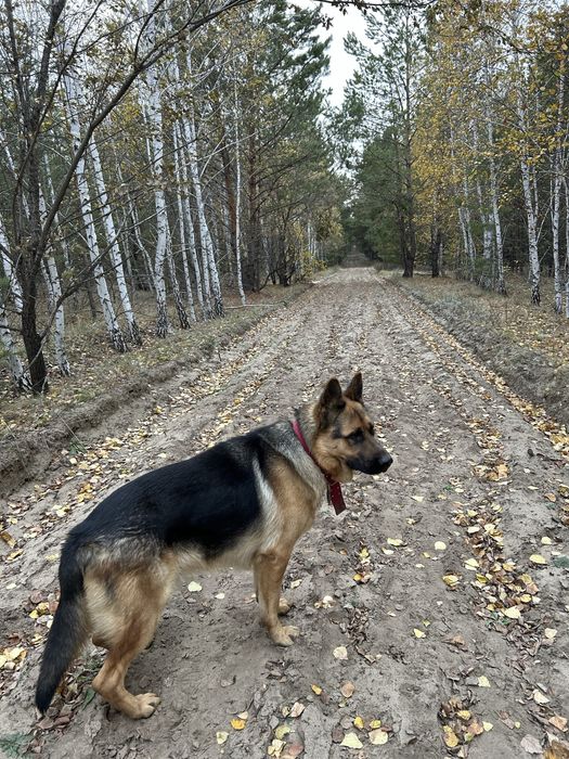 Приглашаем на вязку