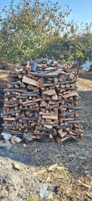 O'tin sotiladi. Mevali quruq daraxt