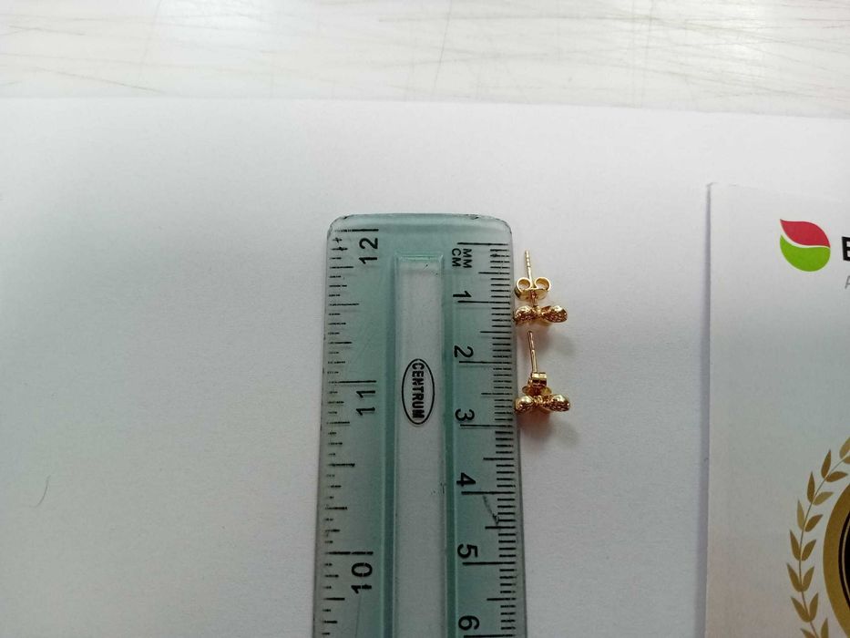 (Ag33) Cercei Aur 14K/Garantie 2 ani