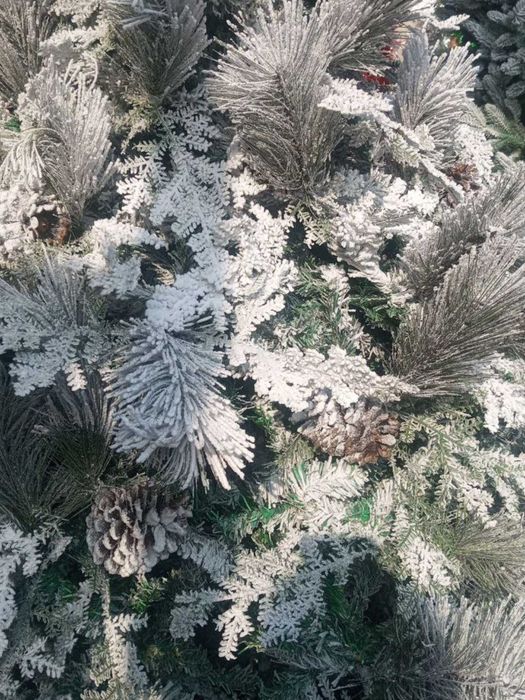 Oppoq qor parchali archalar!