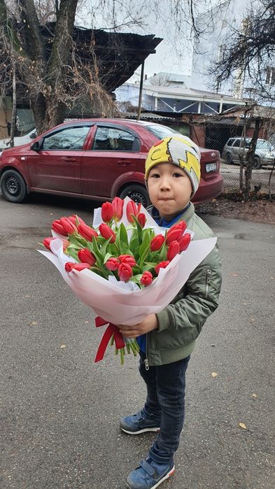 Тюльпаны Голландские