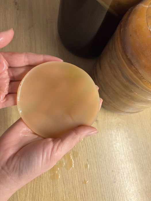 Kombucha SCOBY  kit