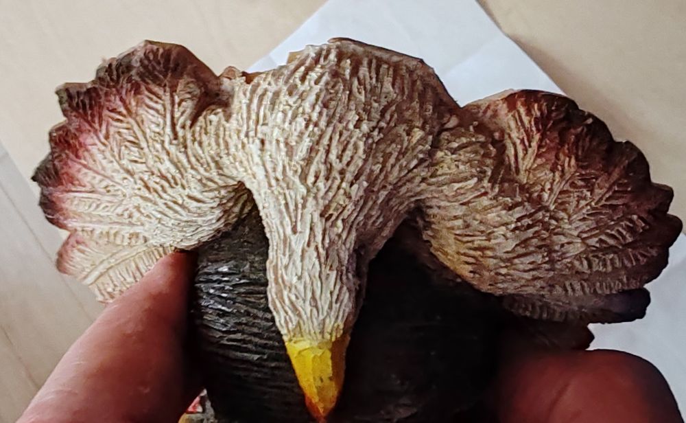 Indian. Decorațiune