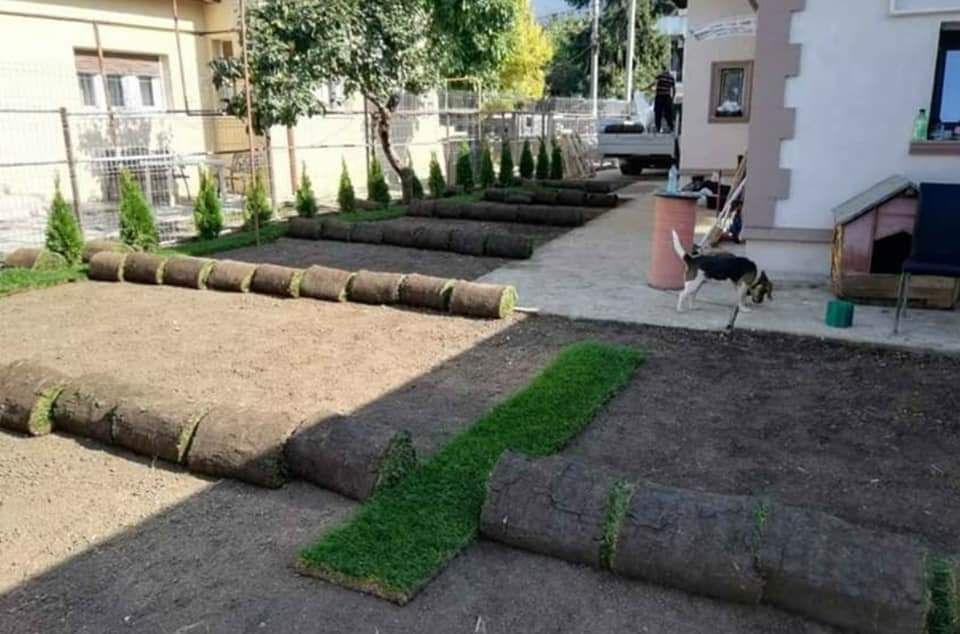 Gazon rulou amenajări gradini