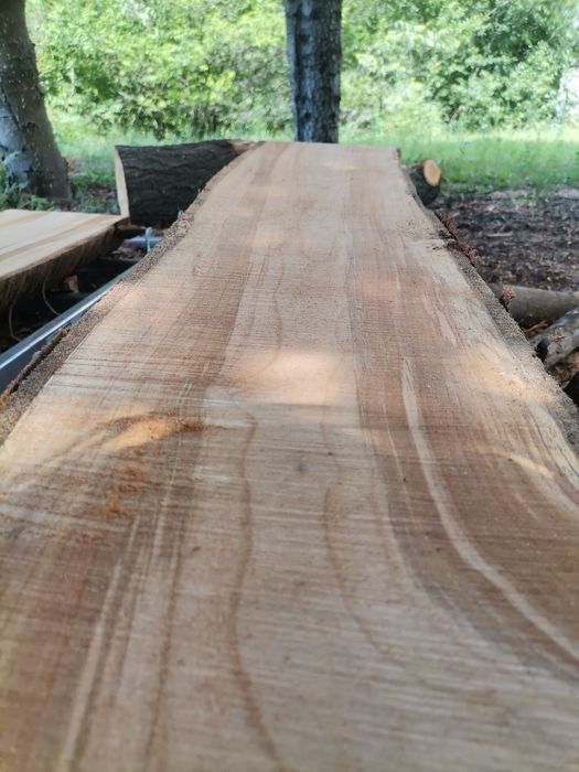 Мобилен гатер-приспособление за бичене с моторен трион