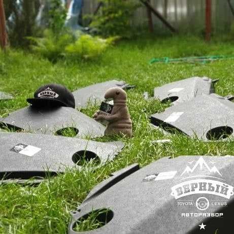 Декор под капот RX330