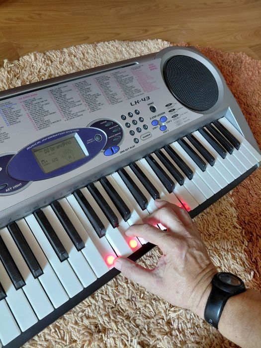 , orgă Casio si Bontempi impecabile.
