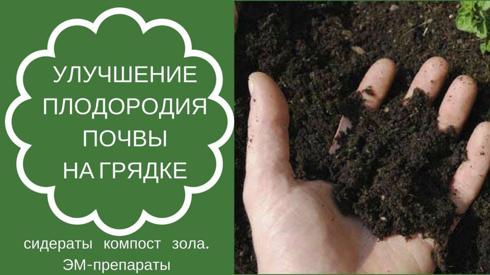 Биогомус Чернозем Унверсал Оптом