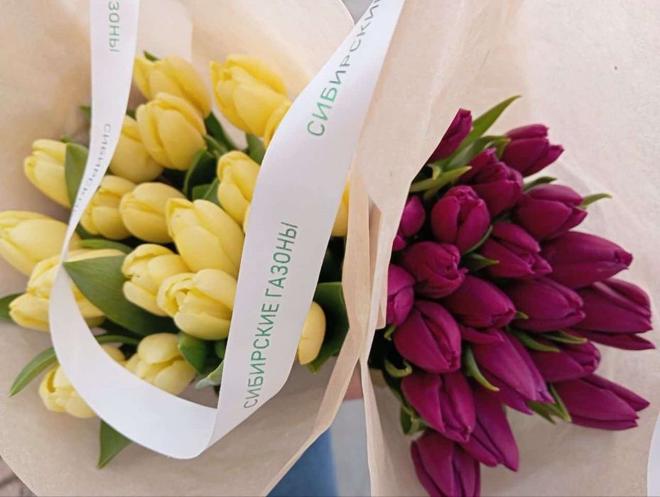 Тюльпаны в розницу от 550тг.