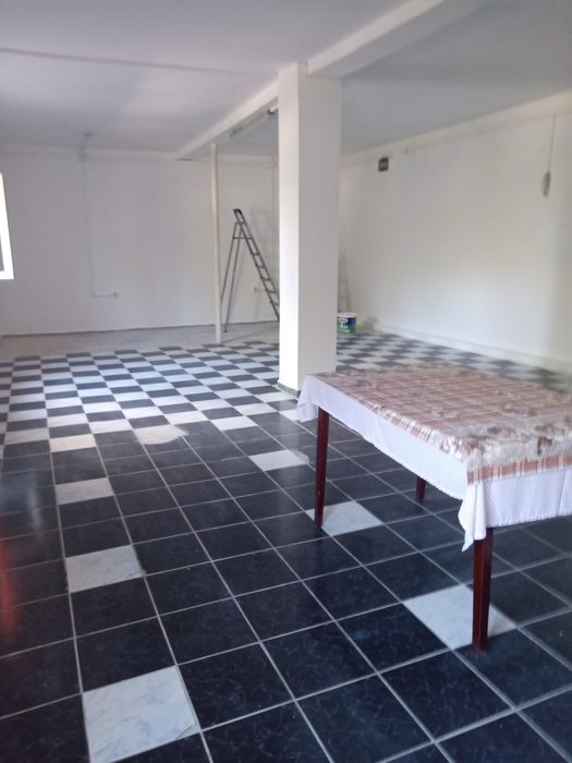 Spațiu Comercial + Mansardă 250 m² în Ceacu, jud Calarasi