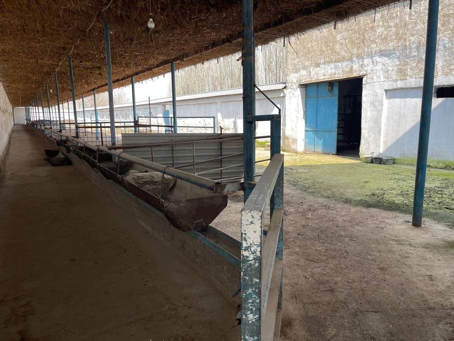 Ферма продается срочно 25сотих