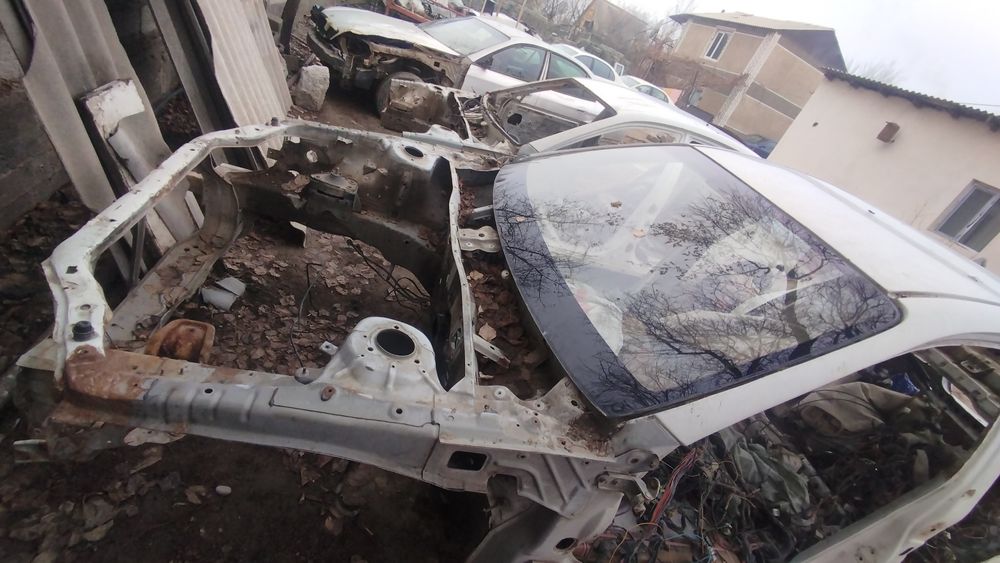 Магнус дэу magnus