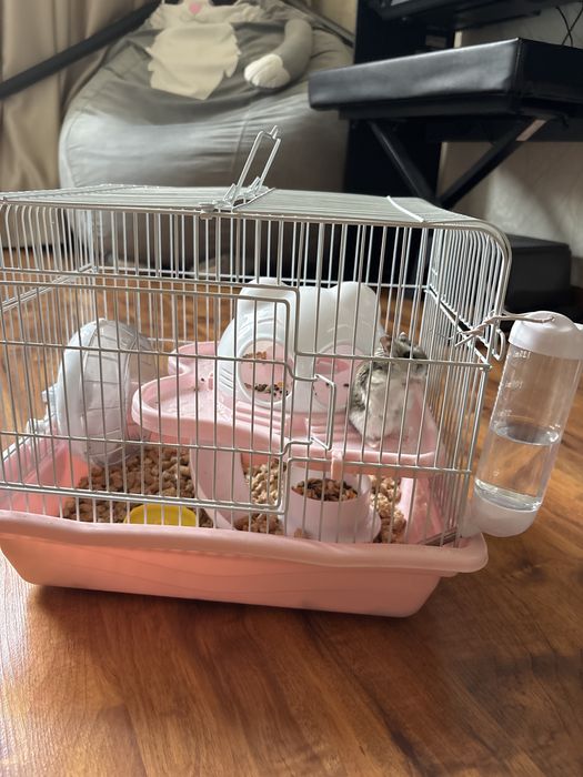 Продам хомяка с клеткой