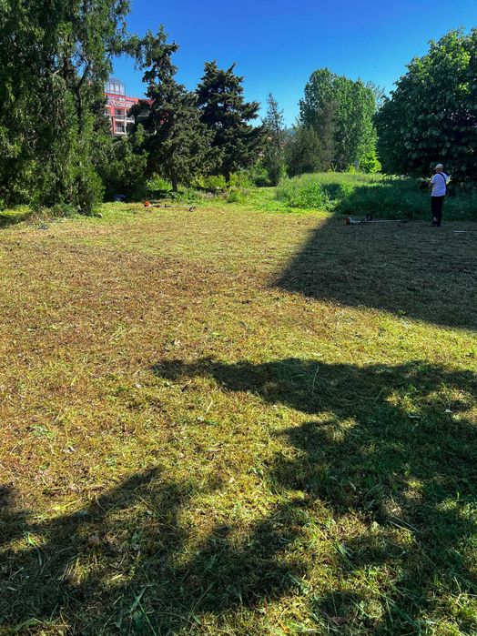 Почистване на дворове, парцели и терени в област Бургас