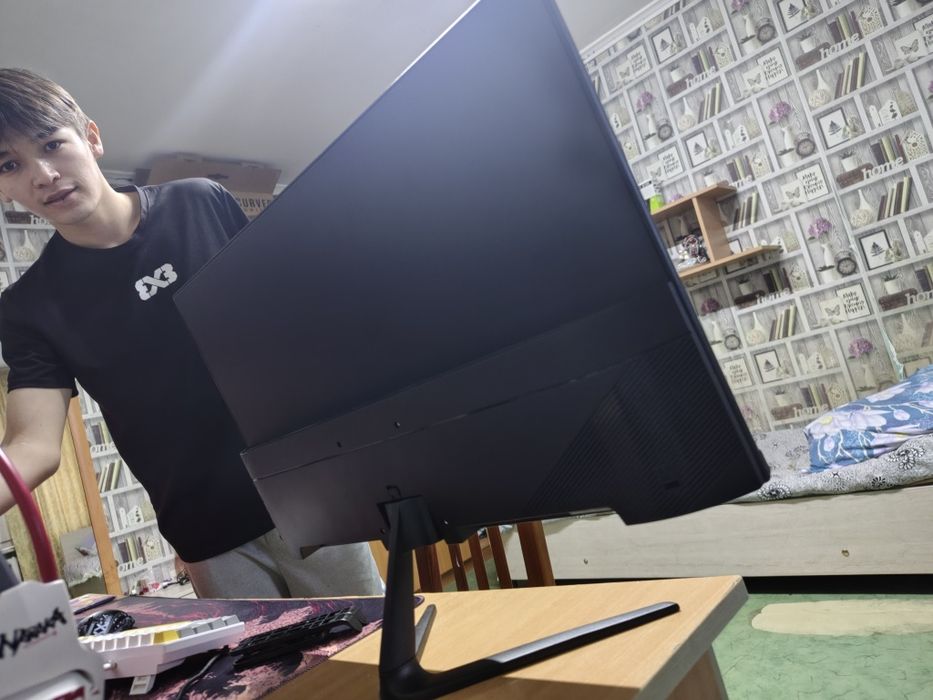 Моник на ПК 100 герц