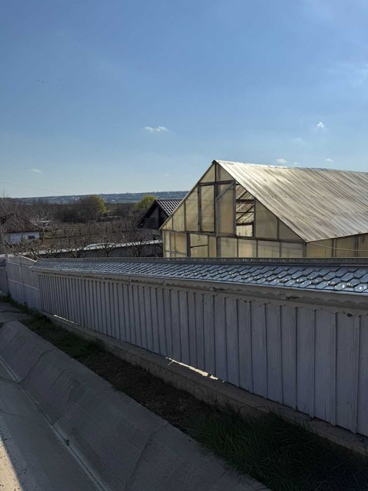 Teren de vânzare cu seră și vie în com. Belcești, jud. Iași