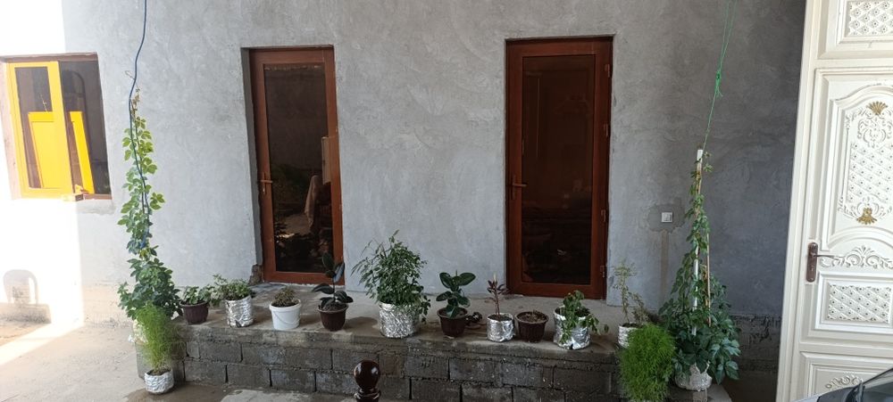 Хавли сотилади манзил   чайни