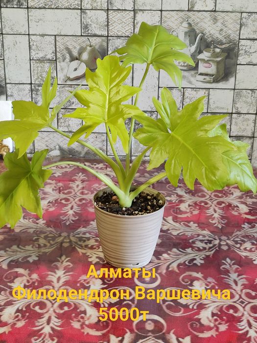 Продам Хобби для души