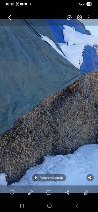 Baloti lucerna de vanzare