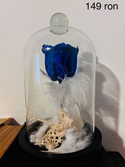 Cadou Tradafir Criogenat Naturali Facut Manual