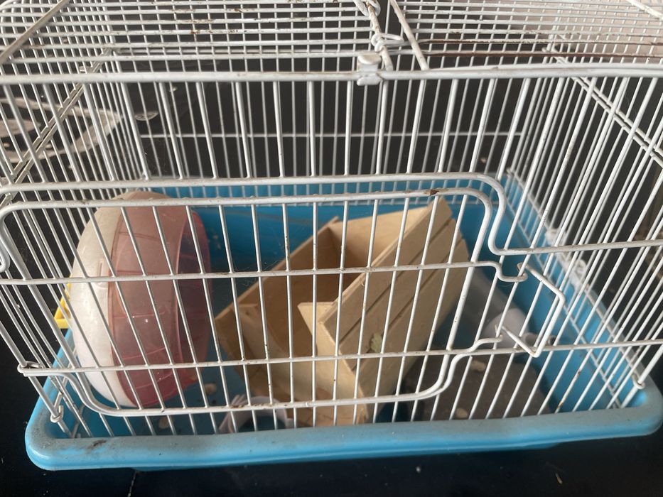 Продам клетки для попугая и для хомяка