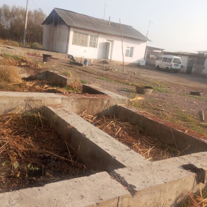 Uchastka ,uy sotiladi.Yashashga 3xona uy,oshxona,molxona ,