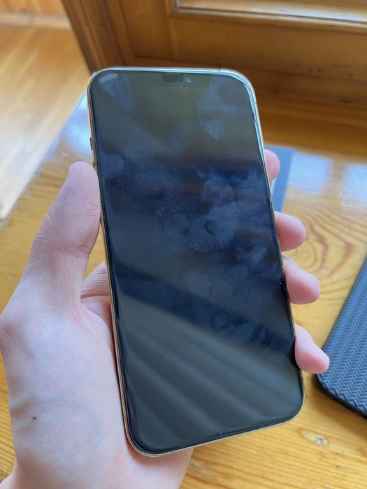 iPhone 12 Pro Max 256