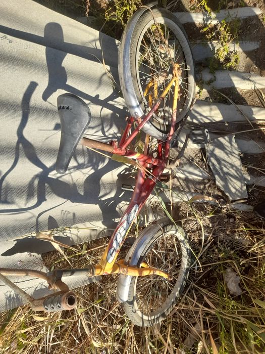 Pqqo1o1uqwggavv alianiwwjwwhssh