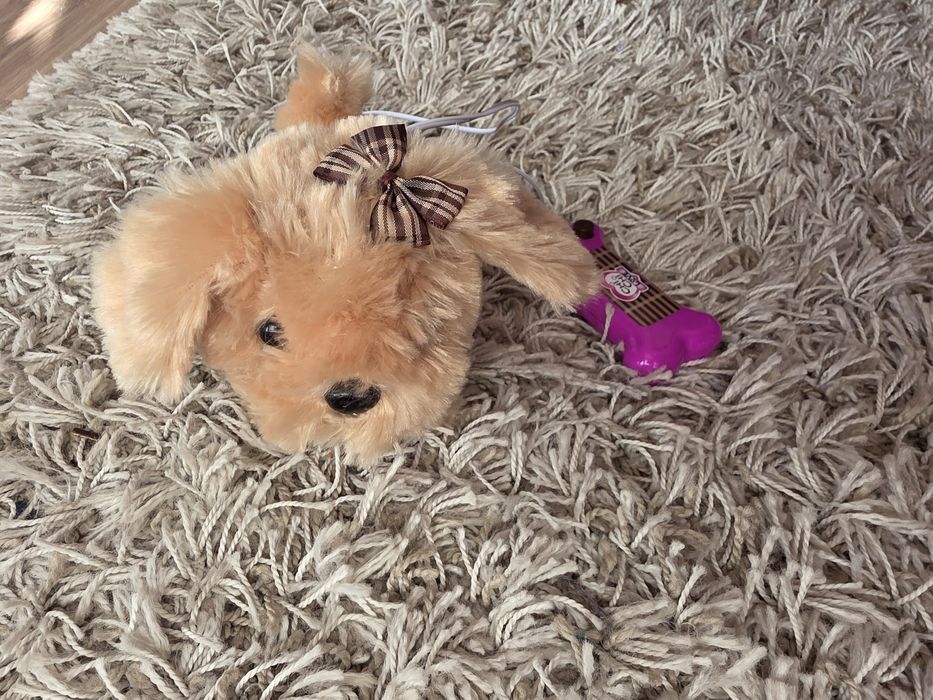 Интерактивно куче chi chi love и болонка