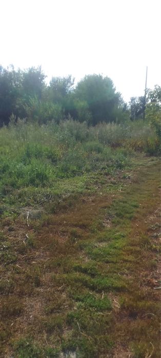 продам дом п. Меновное