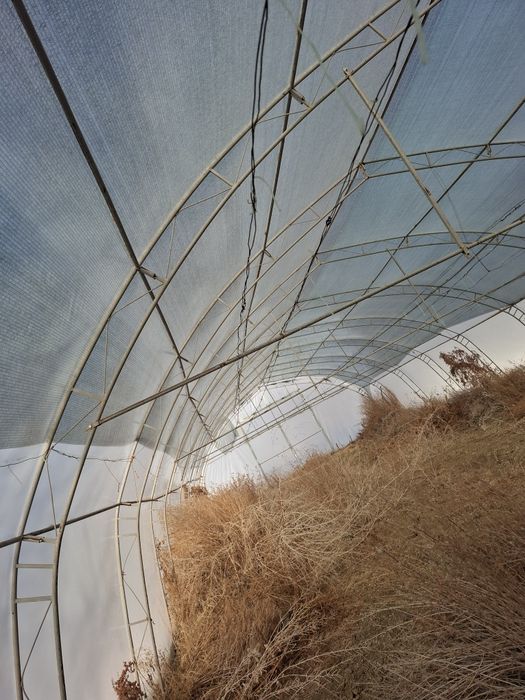 Оранжерии 3 бр.Русенски -Тип зимни с израелски многослоен полиетилен и