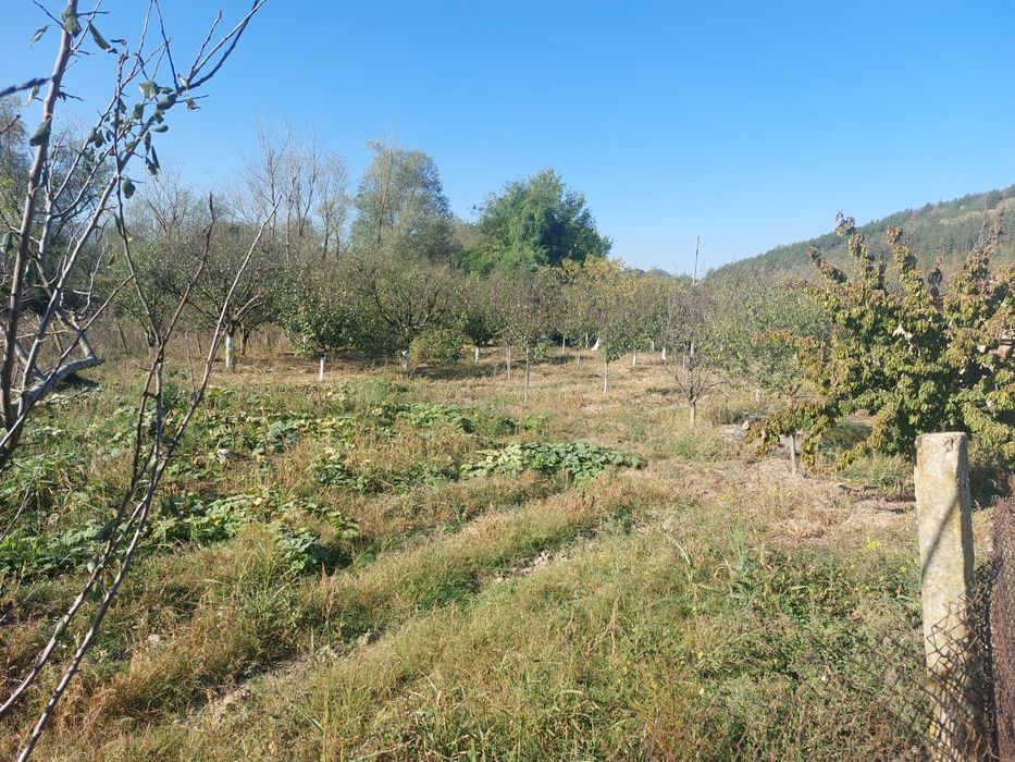 Парцел с овощна градина
