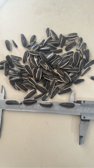 Семечки крупные