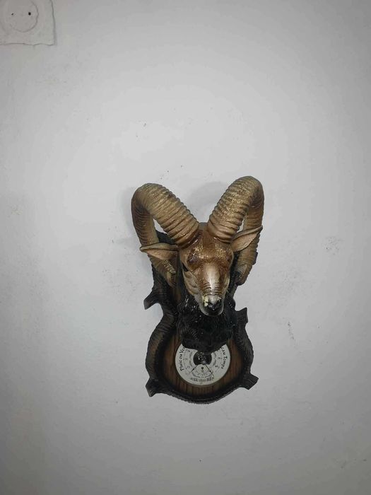 Barunetru cu tenta Tap de munte decor cabana