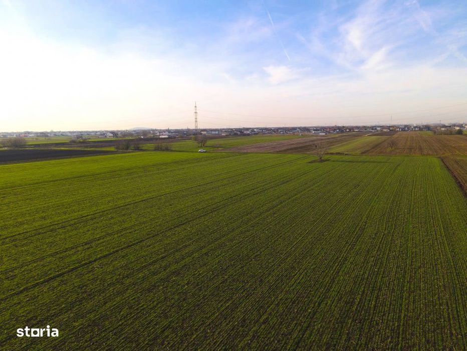 Teren Investitional 1,24 ha Com Berceni | deschidere 42ml | #CG28